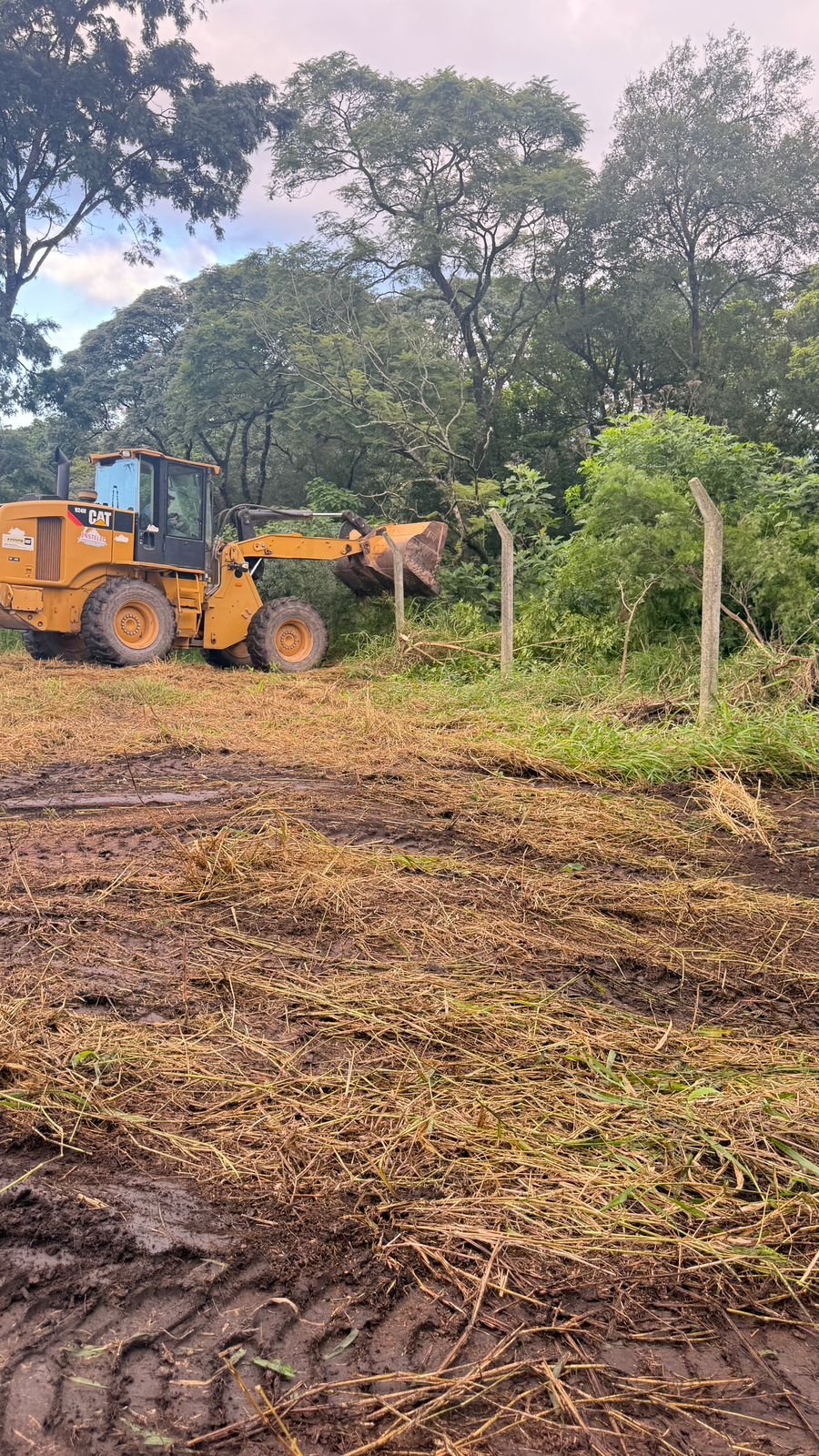 terreno